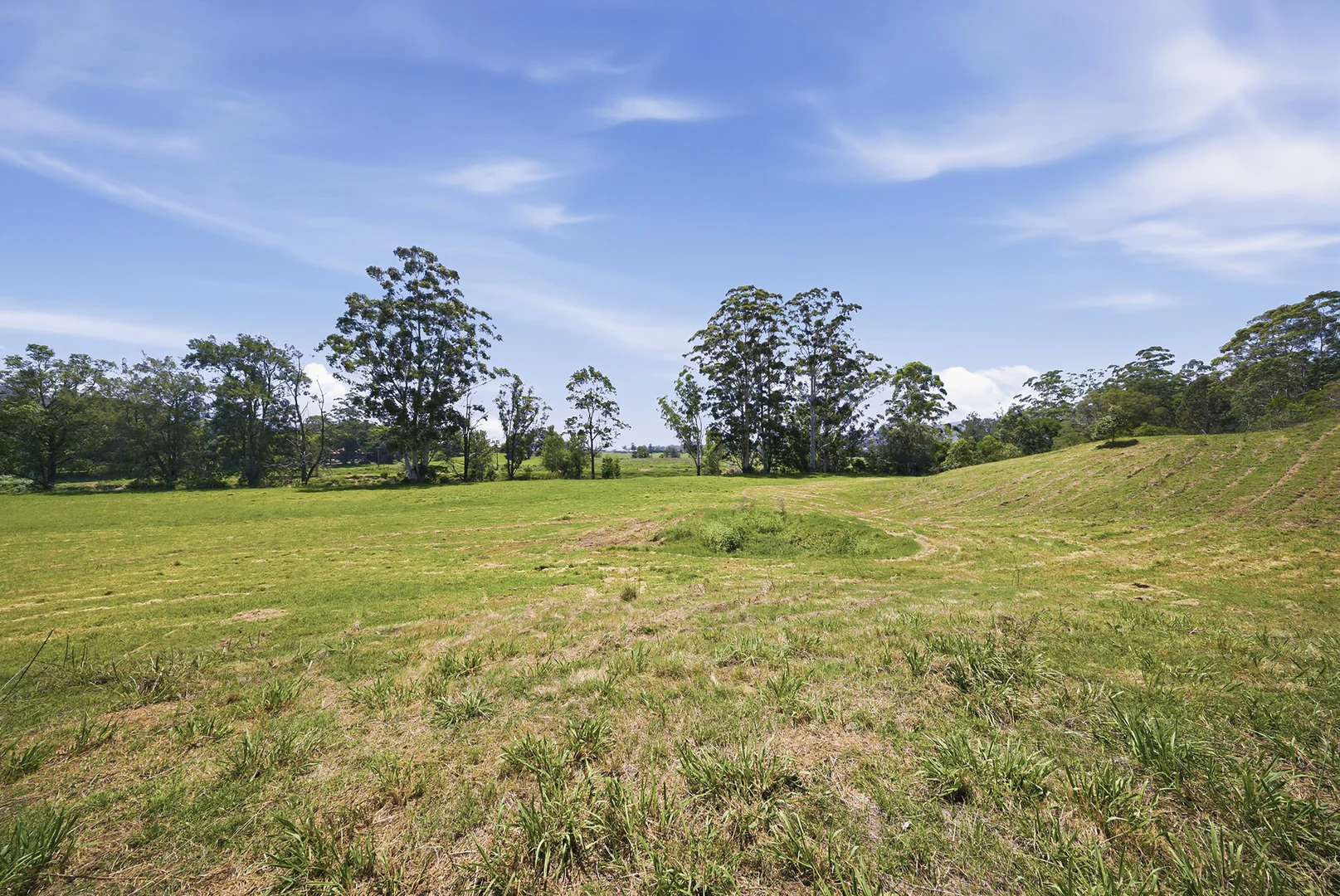 Additional image 29 of 207 Martins Creek Road, Paterson NSW 2421