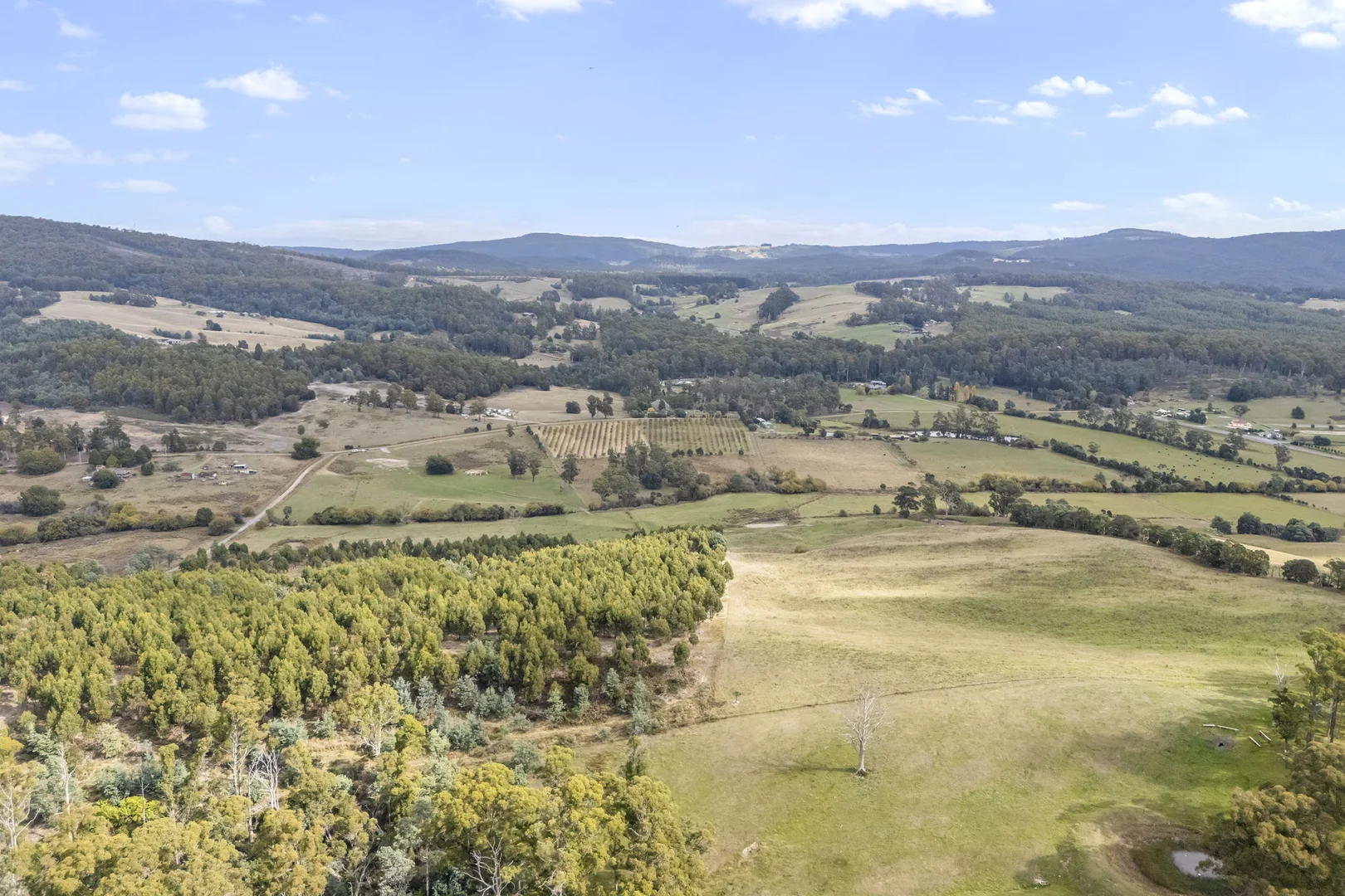 Additional image 21 of 83 Turkey Farm Road, Glengarry TAS 7275