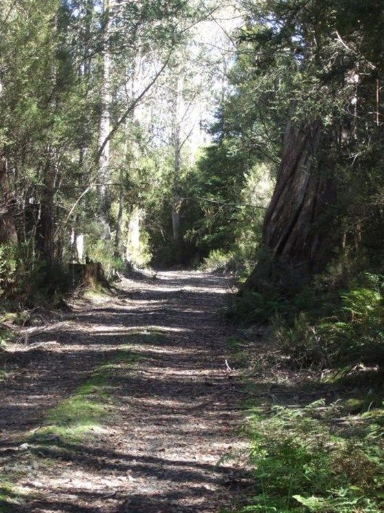 - Middlesex Plains, Cradle Mountain TAS 7306, Image 1