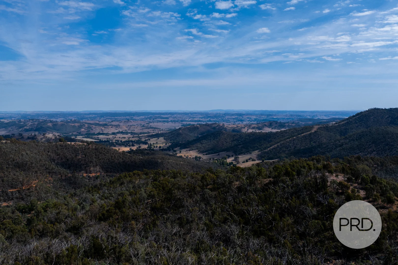 Image 45
