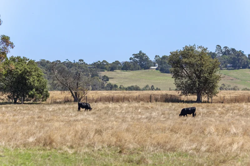 Additional image 7 of 12 Maddens Lane, Coldstream VIC 3770