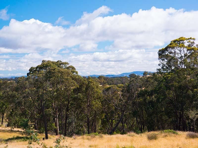 Lot 7/662 Porcupine Ridge Road, PORCUPINE RIDGE VIC 3461, Image 2