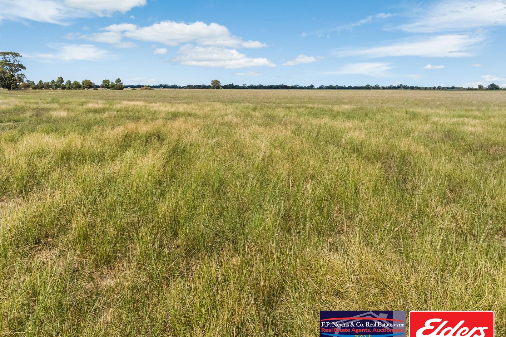 Inglewood-Powlett Road, Fiery Flat VIC 3518, Image 1