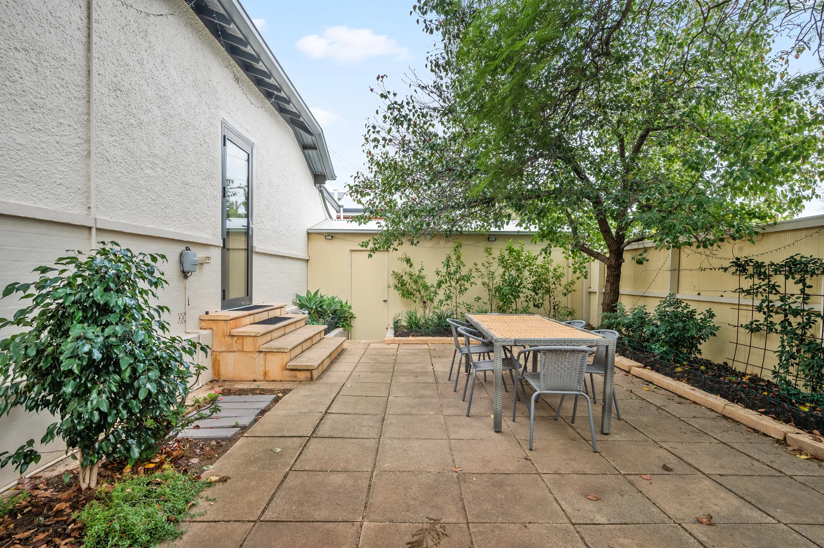 Image 20