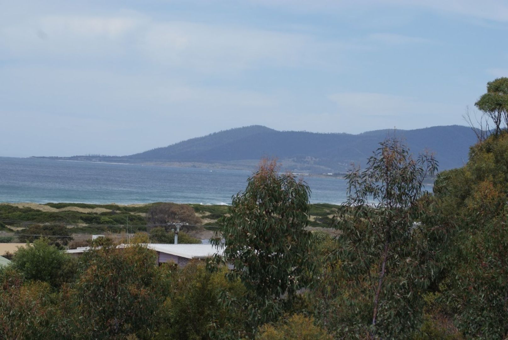 Lot 38. Wrinklers Drive, Scamander TAS 7215 Domain