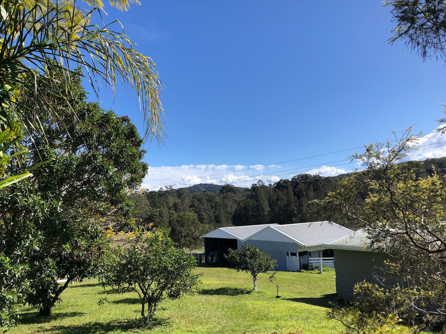 880 South Arm Road, Bellingen NSW 2454 House for Sale Domain
