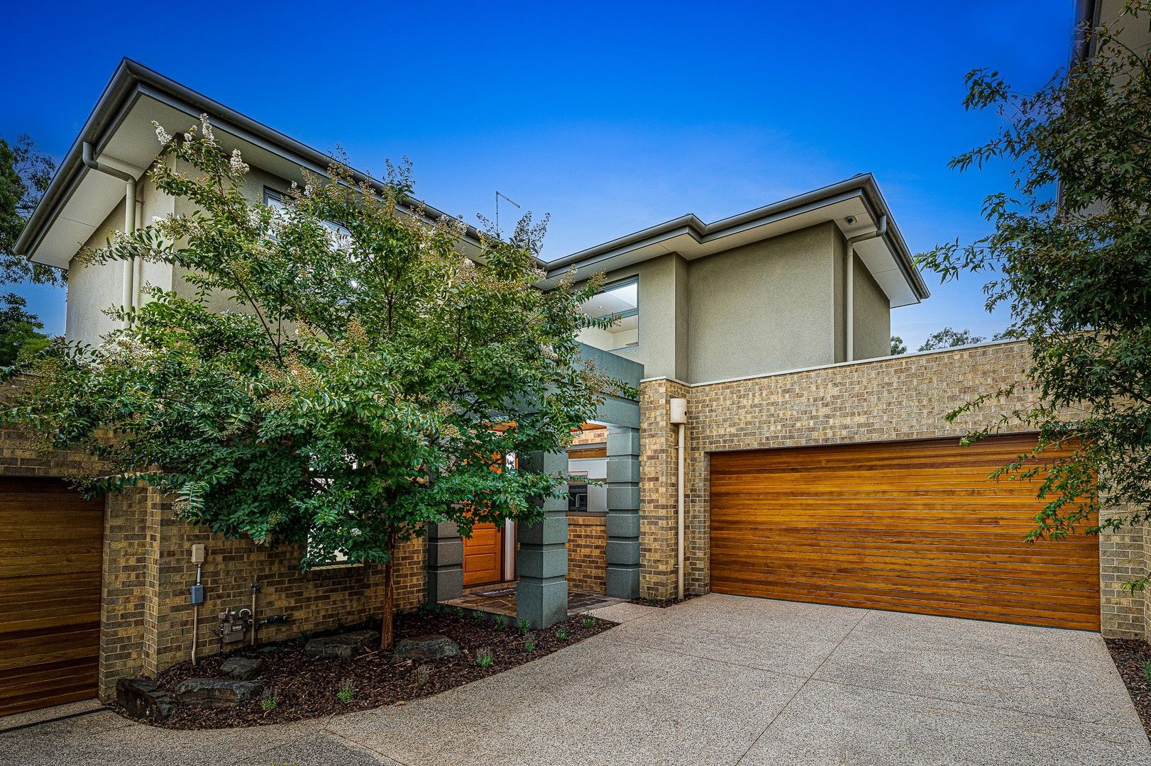 3/53-55 Williams Road, Blackburn VIC 3130, Image 0