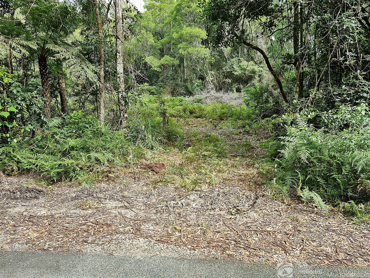 8 Mundora Road, Springbrook QLD 4213, Image 2