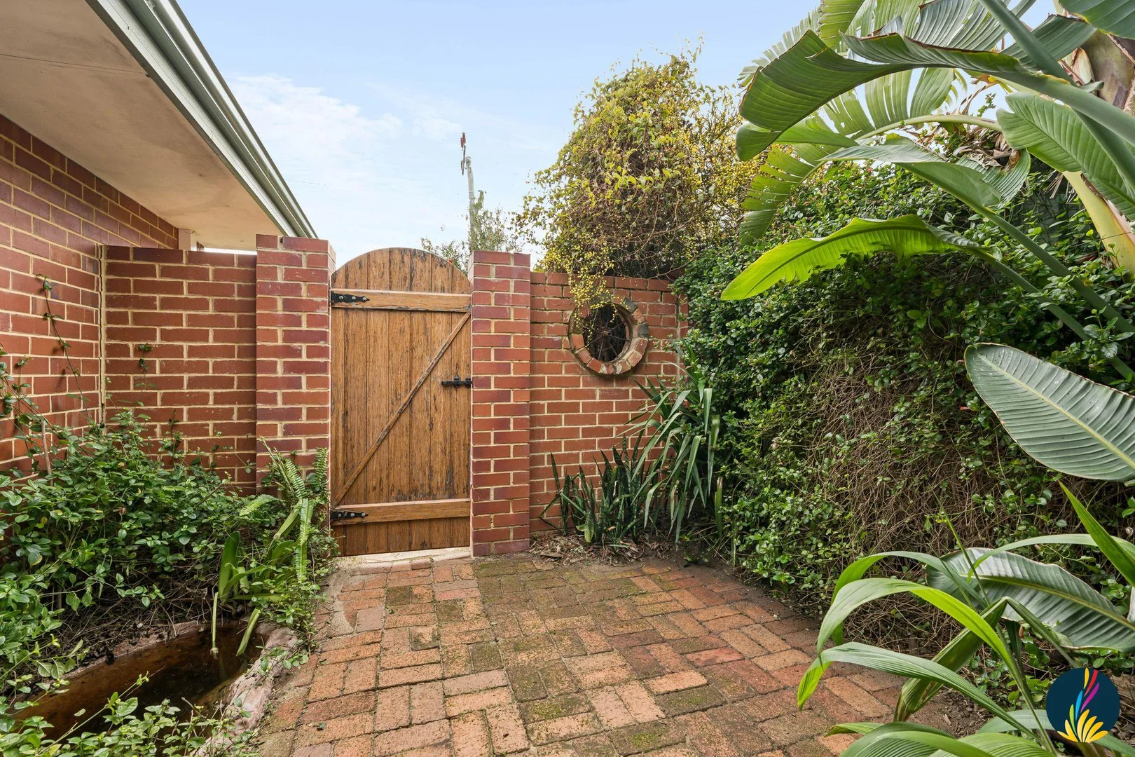Image 20