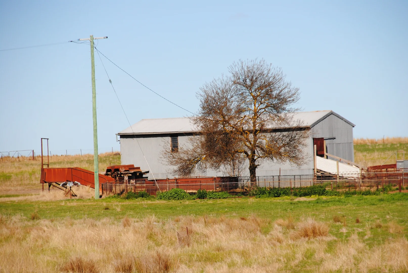 Image 7