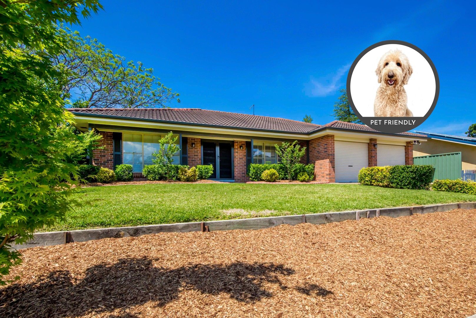 4 bedrooms House in 16 Brookdale Terrace GLENBROOK NSW, 2773