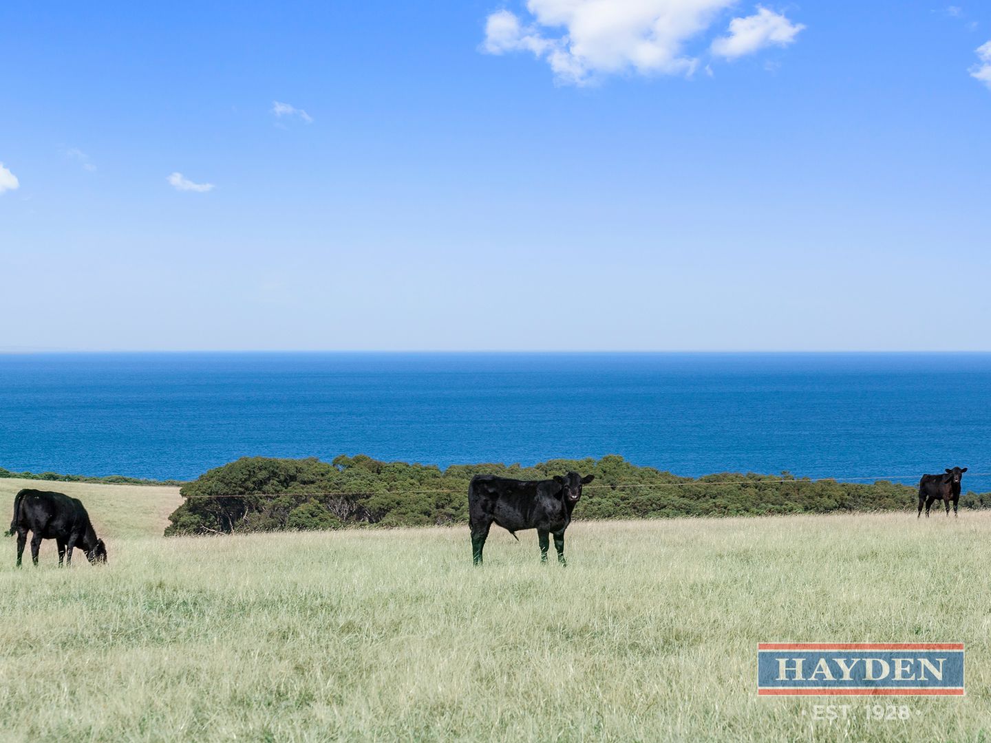 200 Bones Road, Bells Beach VIC 3228, Image 2