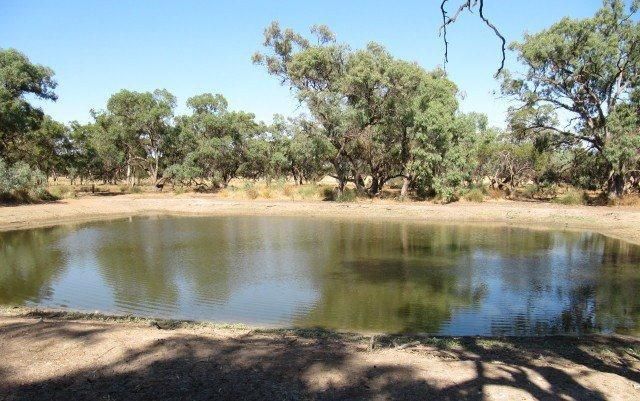 Farm 2762 McCann Road (off Lakes Road), LAKE WYANGAN NSW 2680, Image 1