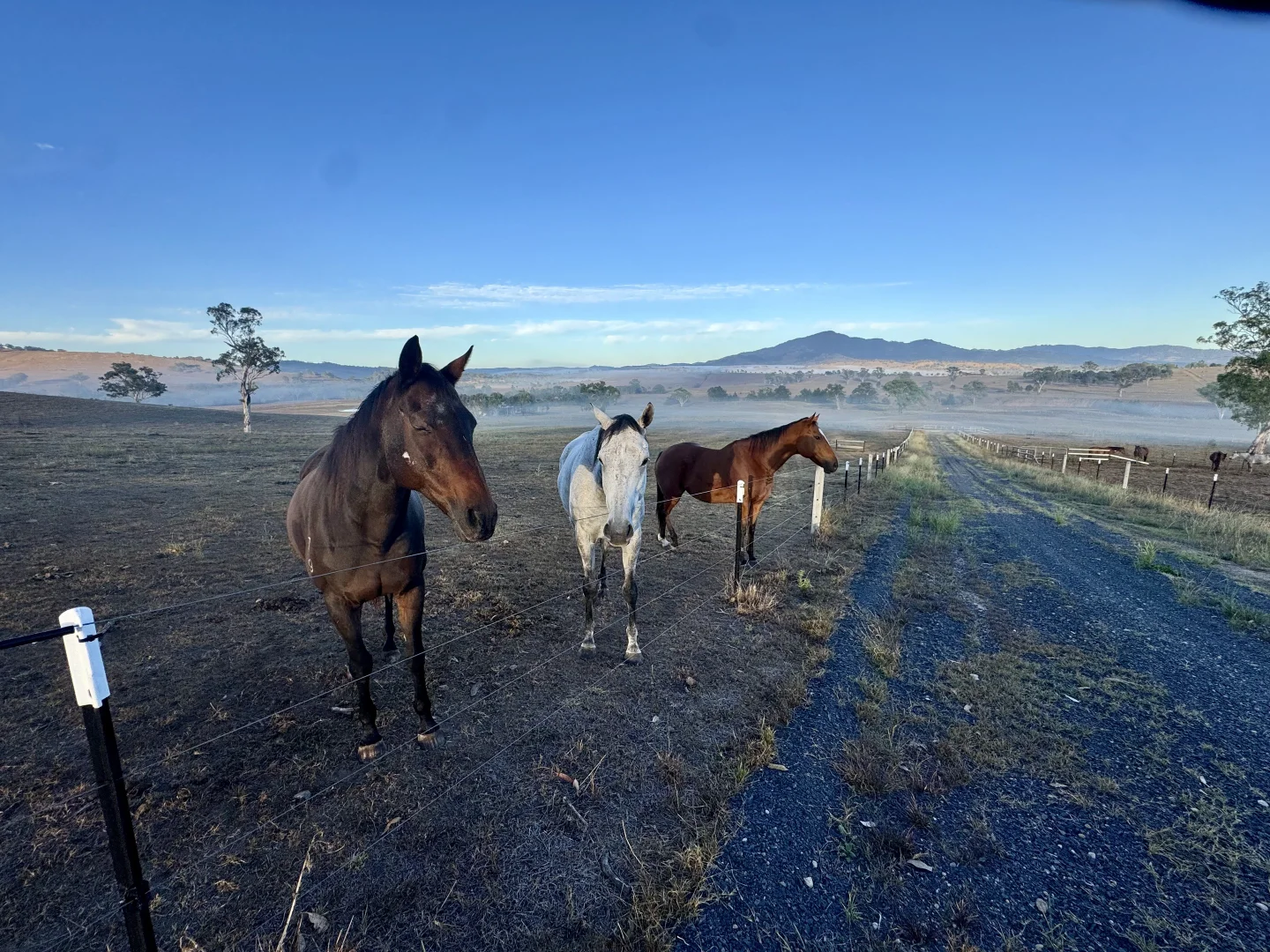 Additional image 10 of "Brentwood Park" 80 Sandy Creek Road, Blandford NSW 2338