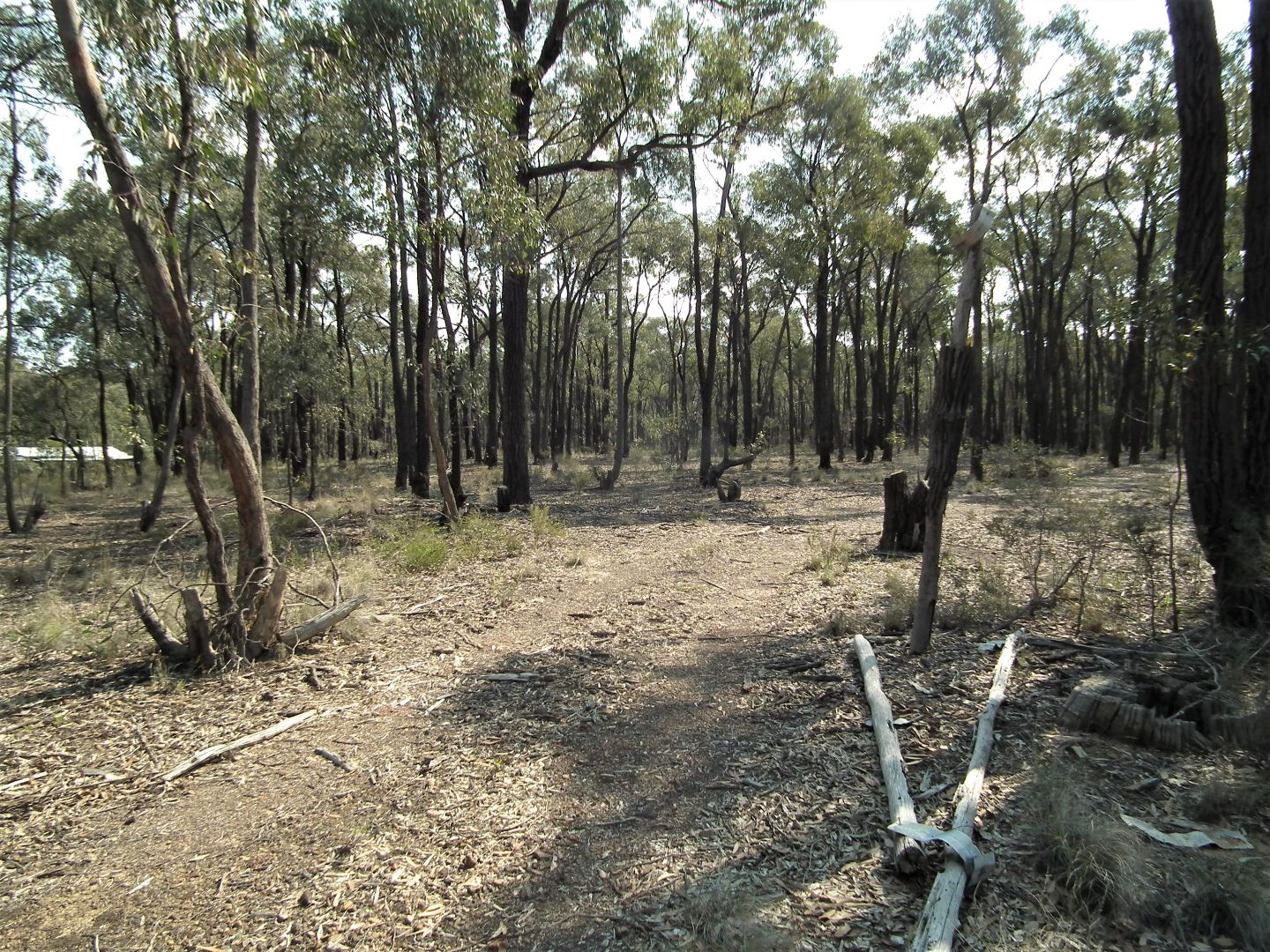 Lot 8 Gold Diggers Road, Bailieston VIC 3608, Image 2