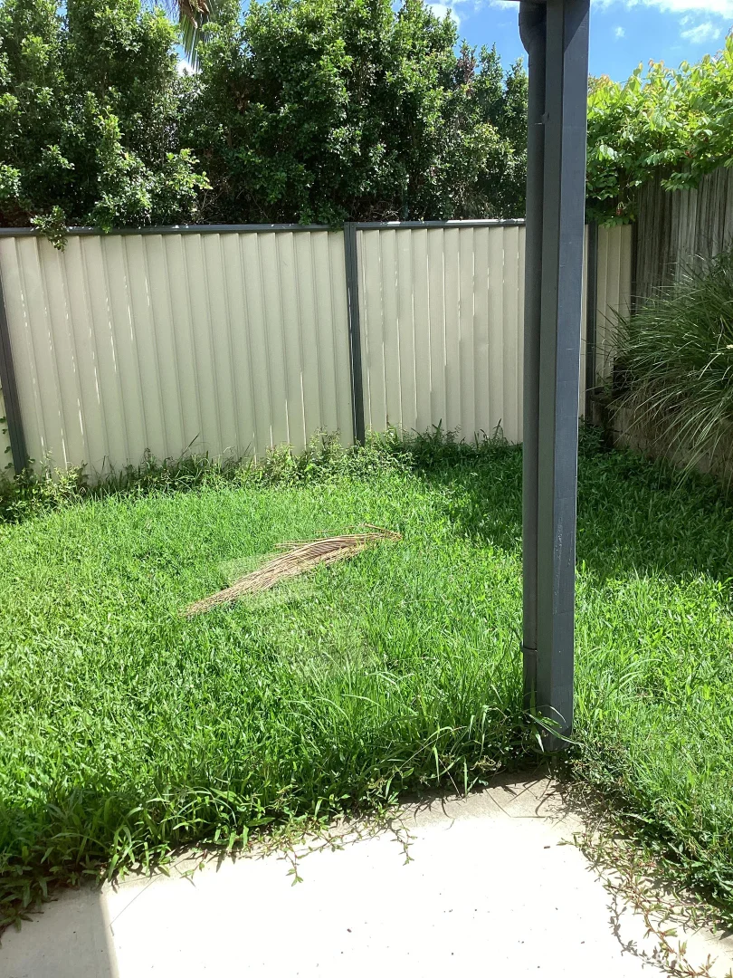 Additional image 16 of 12/66 Winchelsea Street, Pialba QLD 4655