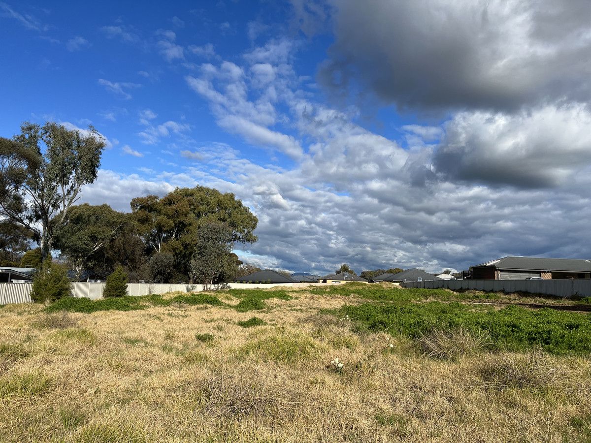 484-rose-street-lavington-nsw-2641-domain