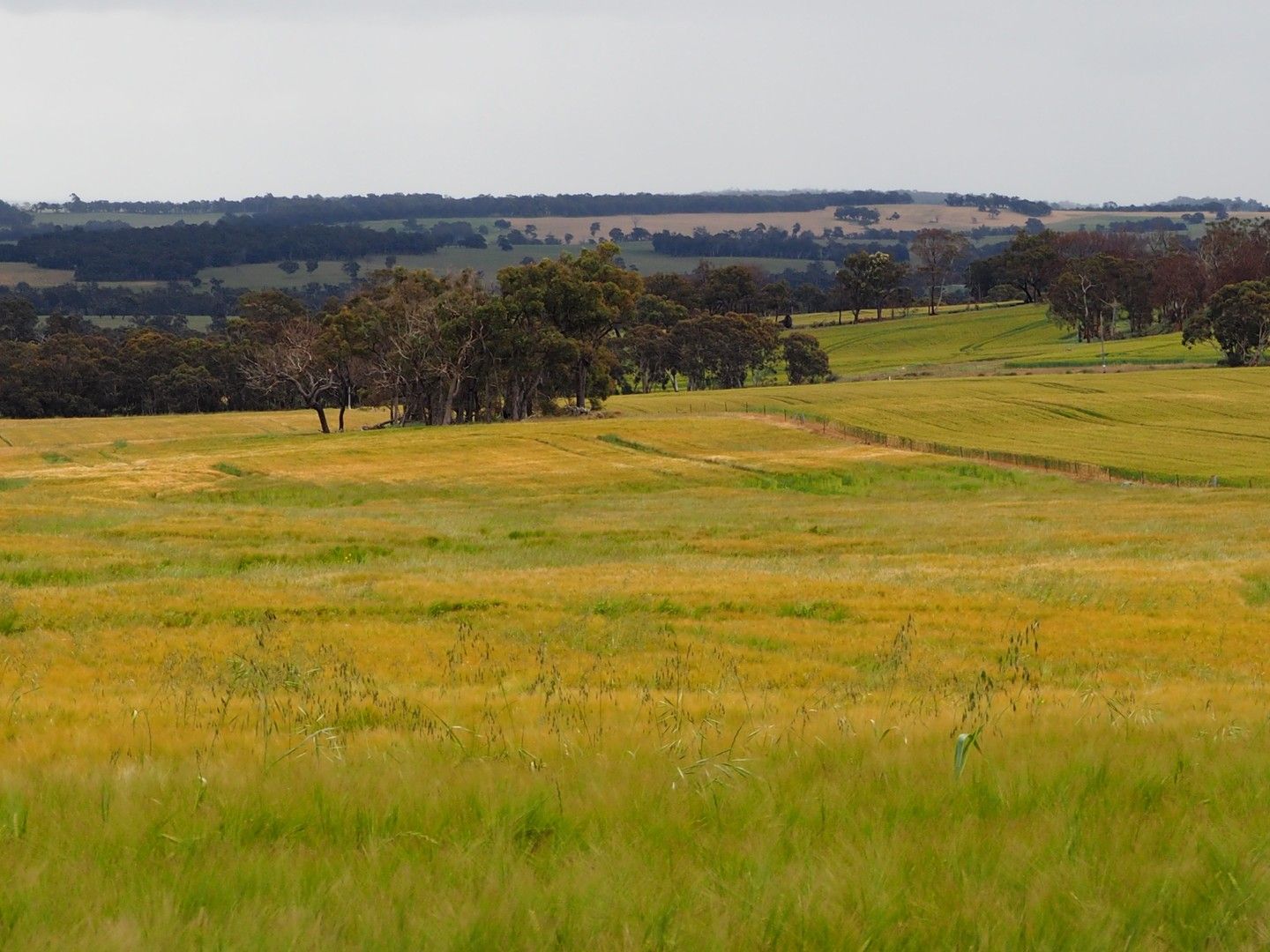 Manolini Road, Kojonup WA 6395, Image 0