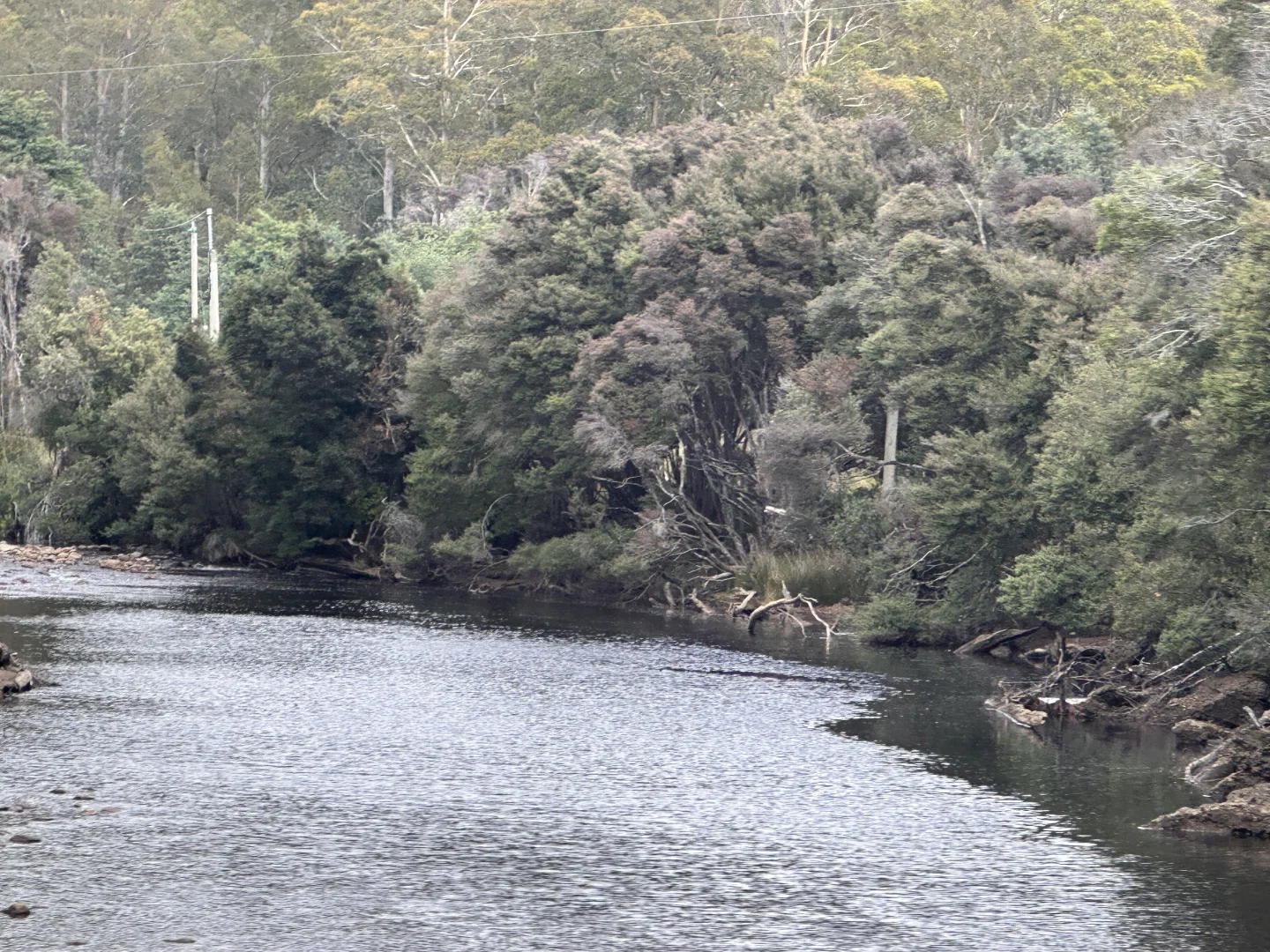 Image 19
