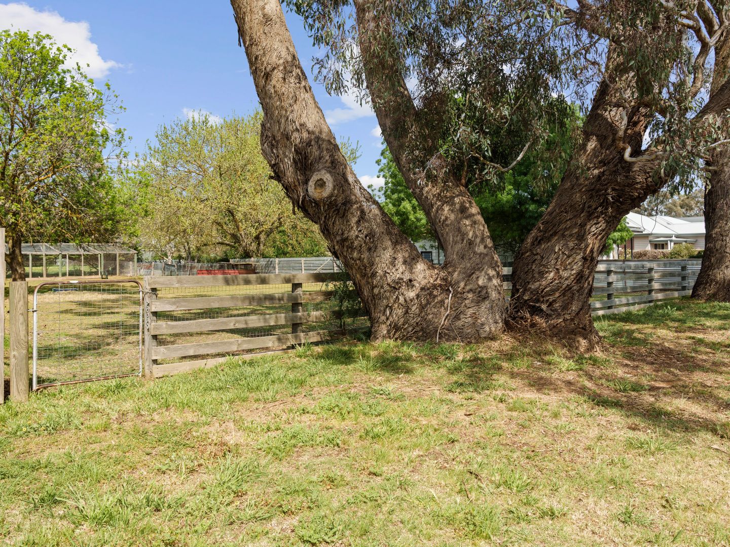 12 Pinniger Street, Avenel VIC 3664, Image 1