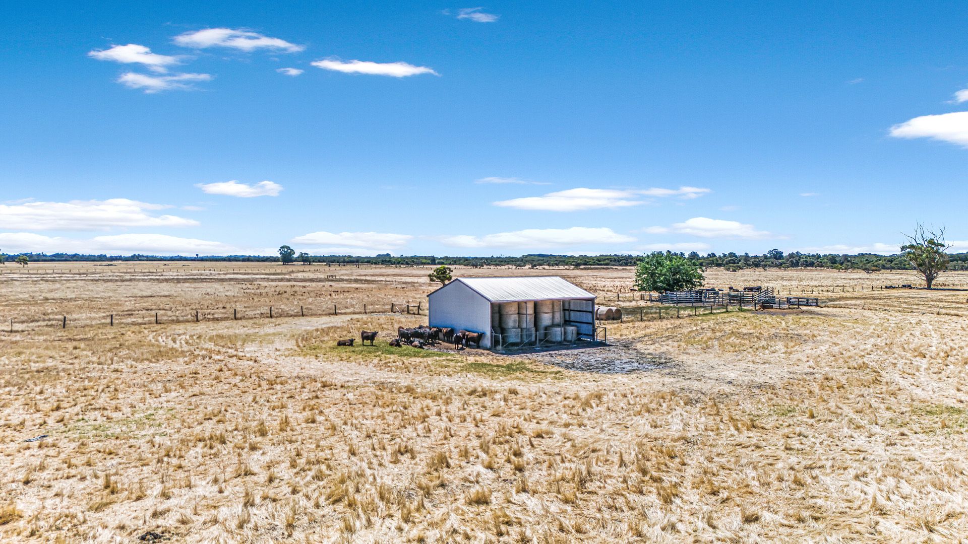 Boyanup WA 6237 vacant land for Sale, 2,570,000 2018955517 Domain