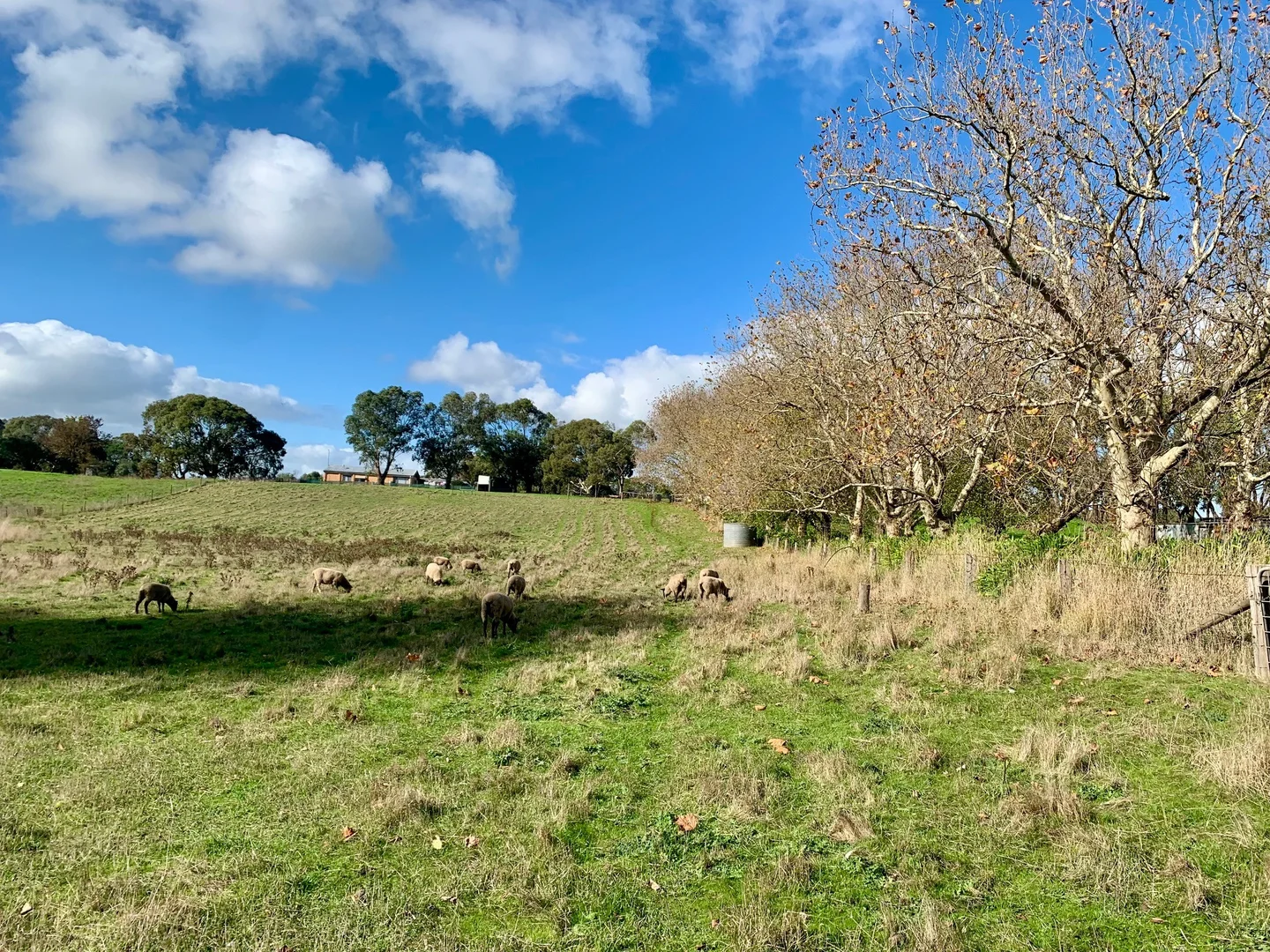 Image 35