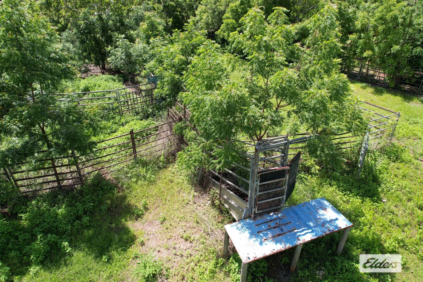 Image 12