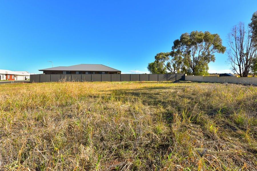 41 Evesham Circuit North, Tamworth NSW 2340, Image 1