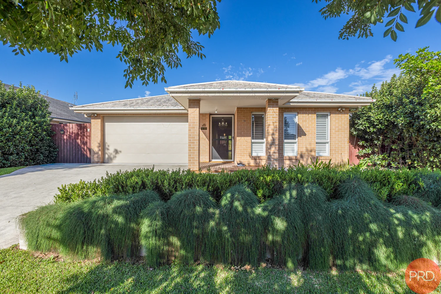 Primary image of 12 Snipe Street, Fletcher NSW 2287