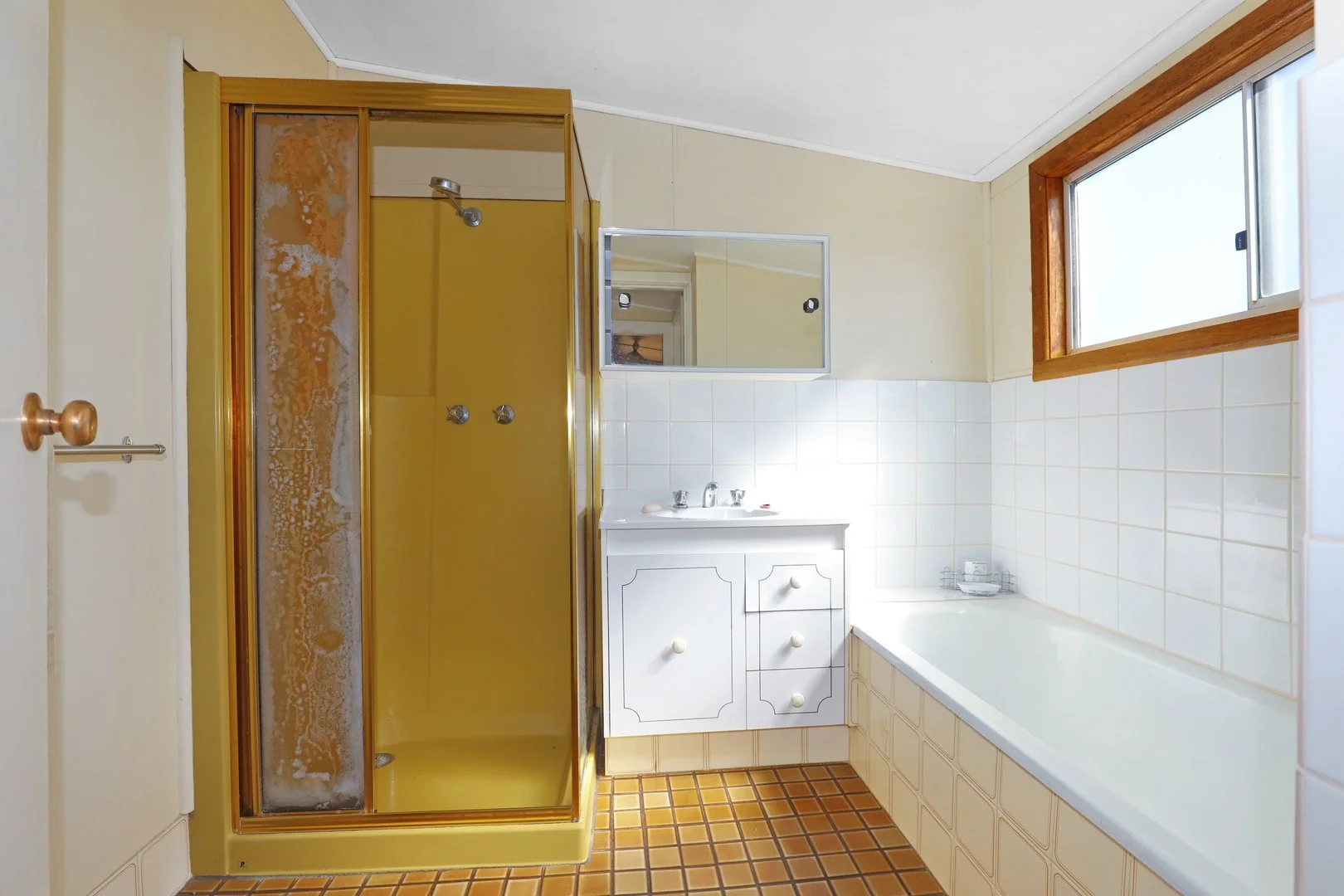 Additional image 9 of Lot 5 & 6 Scott Street, Cathcart NSW 2632