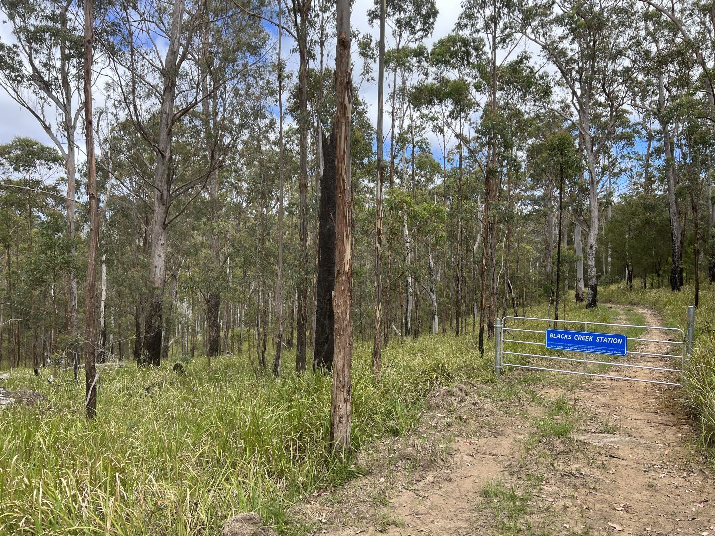 Lot 56/* Lands End Road,, Kingsgate NSW 2370, Image 1