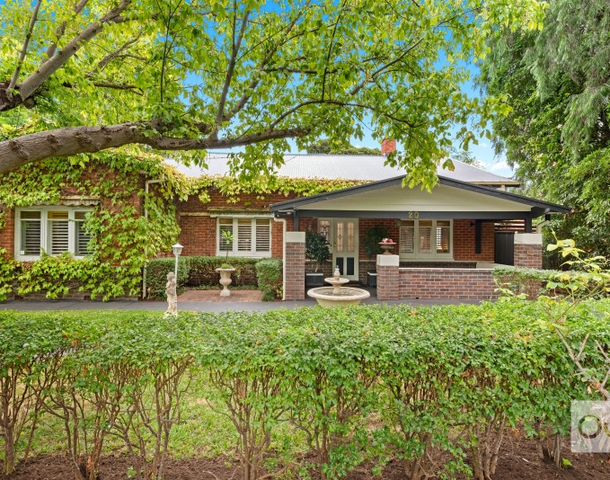 20 Dixon Street, Clarence Park SA 5034