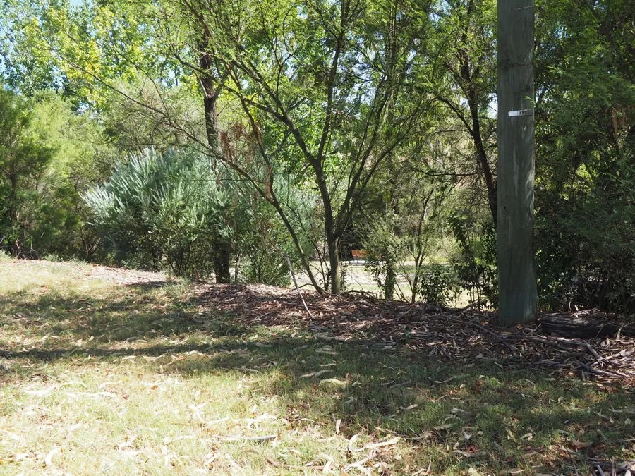 Image 15