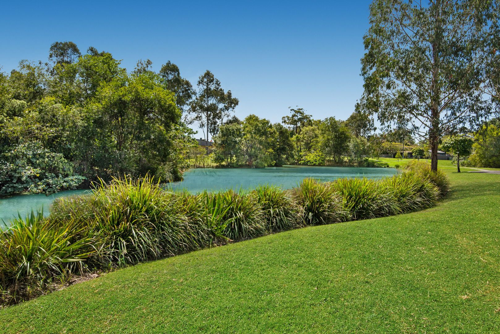 4 Brand Place, Mooloolah Valley QLD 4553, Image 1