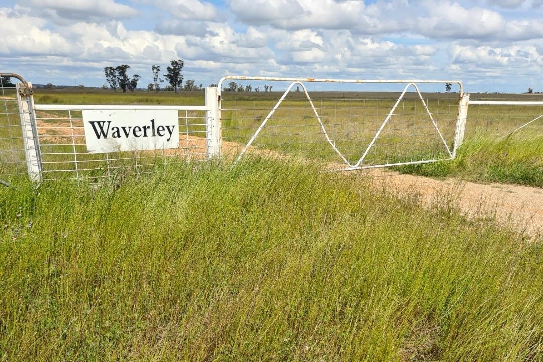 'Waverley' 282 Woodford Road, Trundle NSW 2875, Image 1