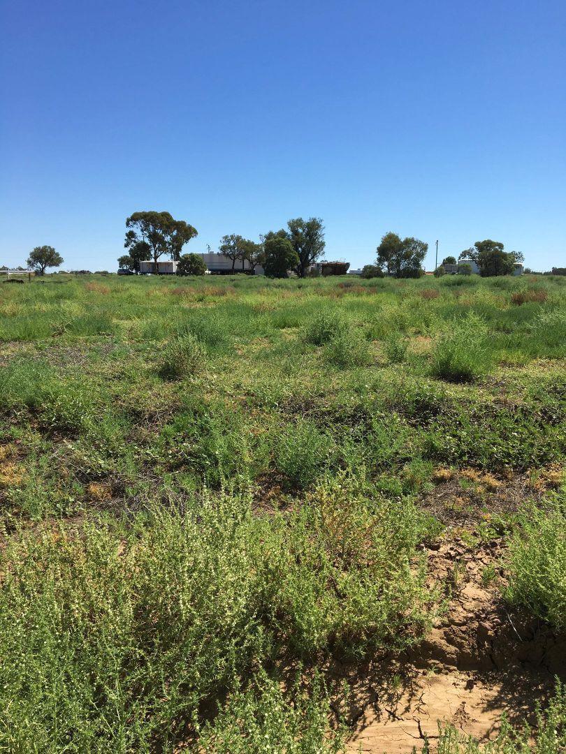 Lot 1 Raven Road, Longreach QLD 4730, Image 1