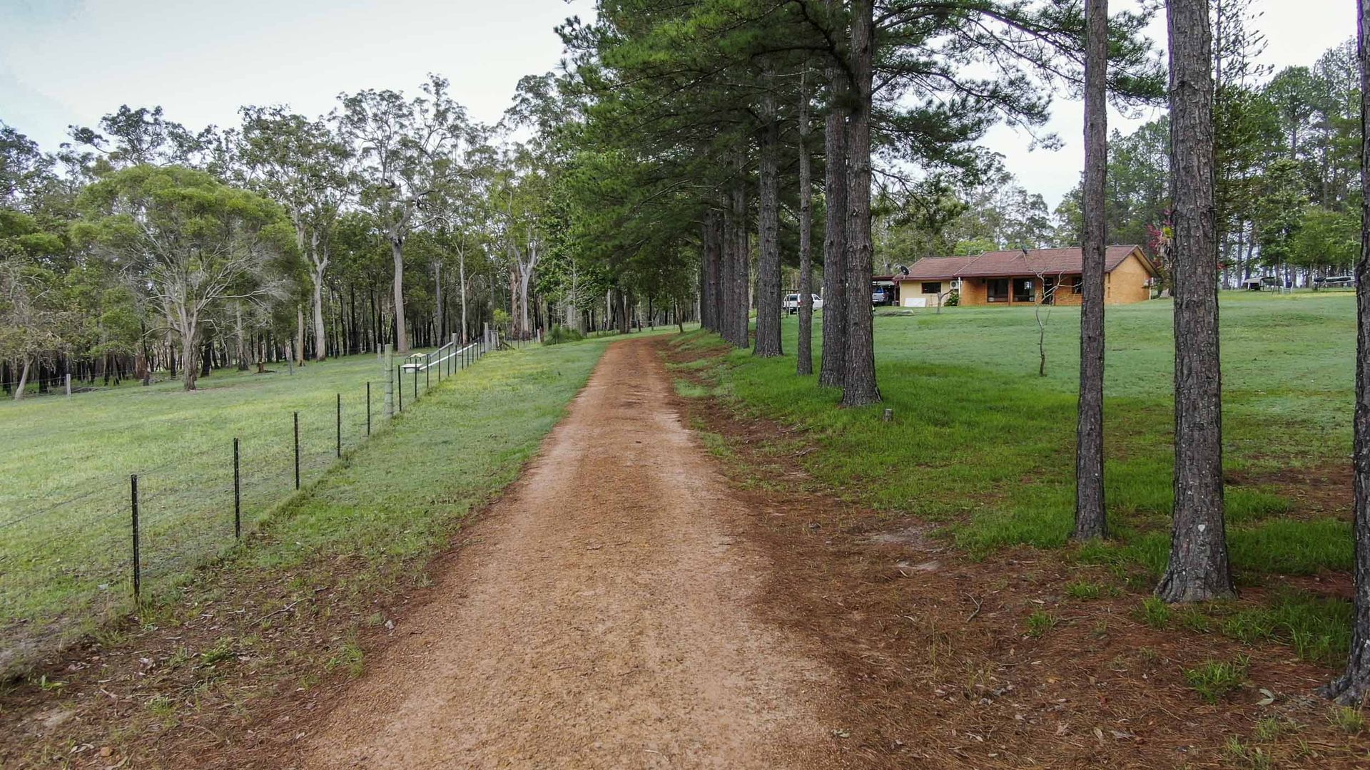 186 Whiteman Creek Road, The Whiteman NSW 2460, Image 2