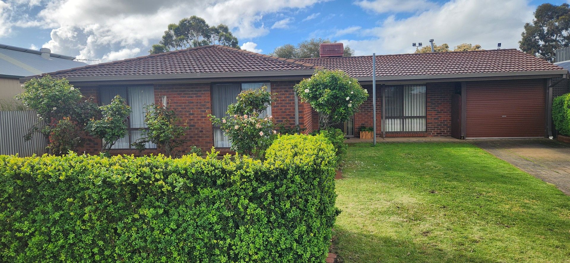 3 bedrooms House in 3 Buttercup Grove MORPHETT VALE SA, 5162