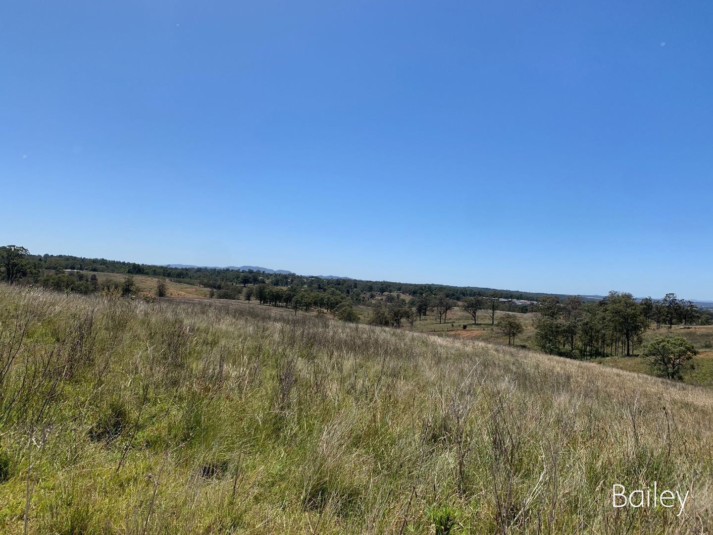 387 Bridgman Road, Singleton NSW 2330 - House for Sale | Domain