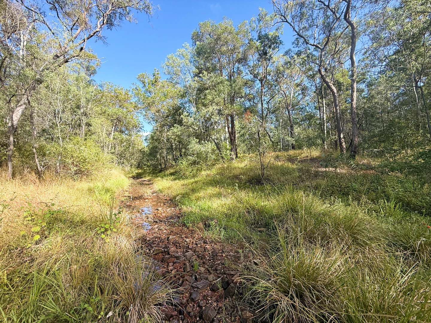Image 8