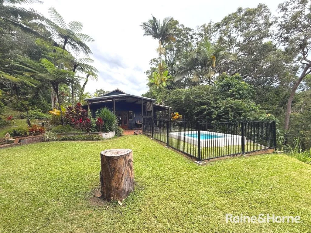 Additional image 14 of 903 EULUMA CREEK ROAD, Julatten QLD 4871