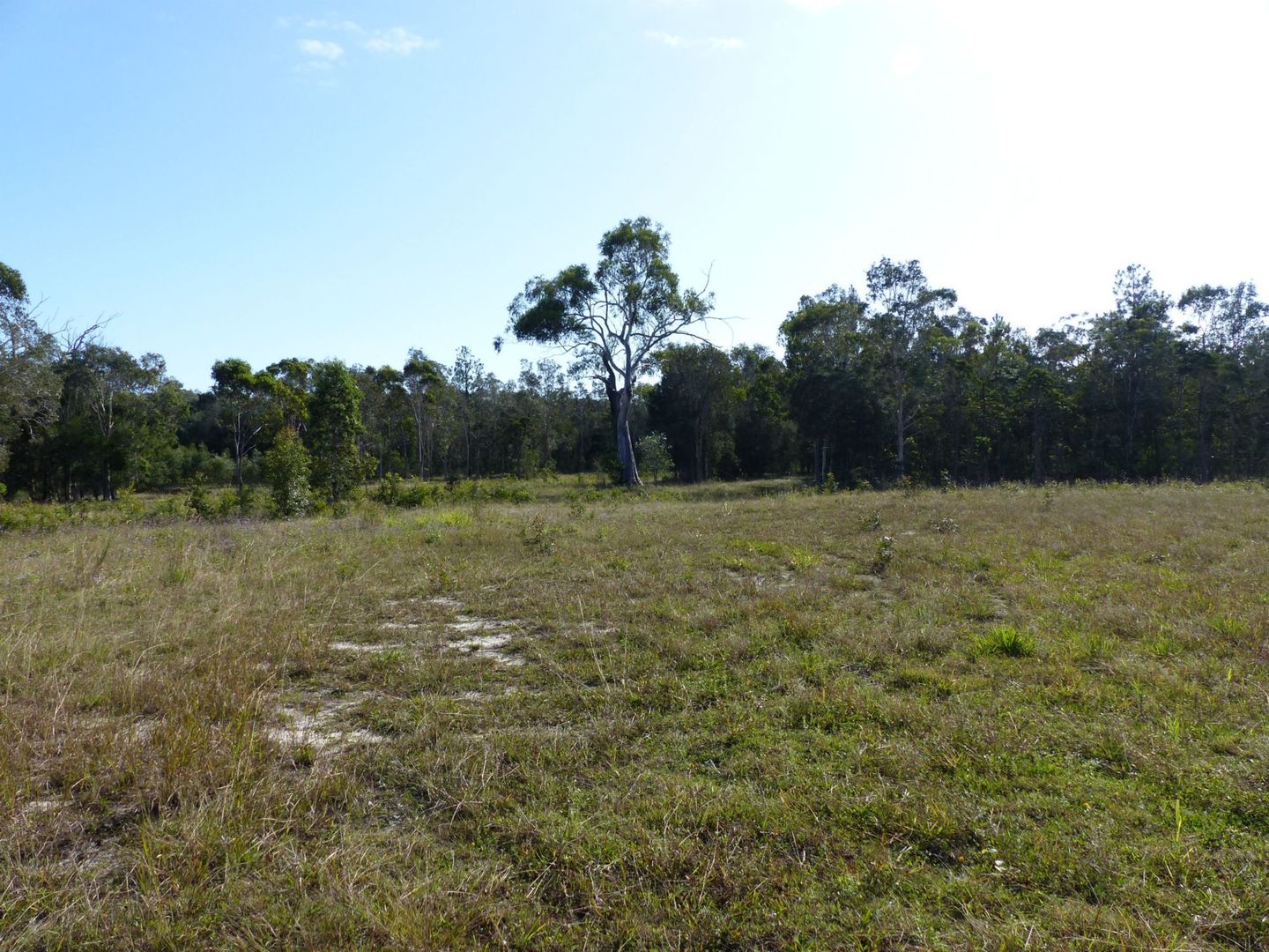 Lot 80 Lancaster Lane, Cooroibah QLD 4565, Image 2