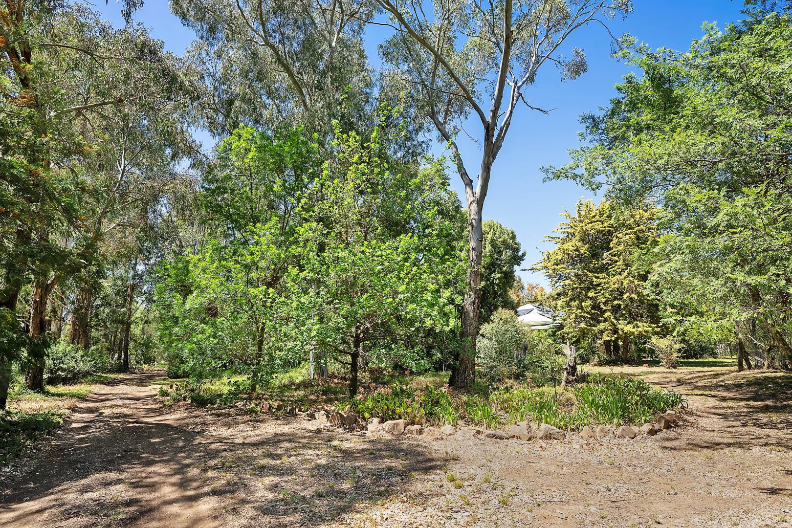 357L Obley Road, Dubbo NSW 2830, Image 2