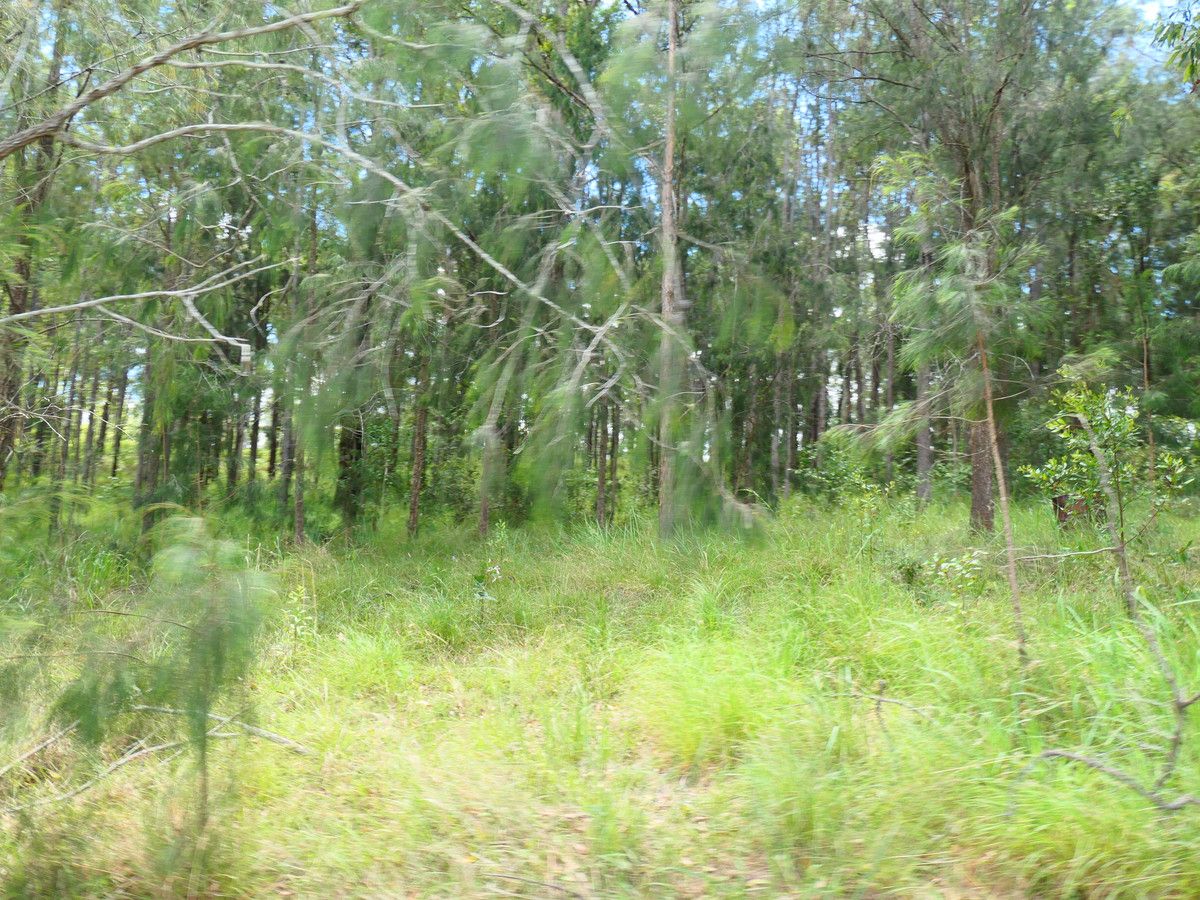 411 Leslie Creek Road, Drake NSW 2469 House for Sale 385,000