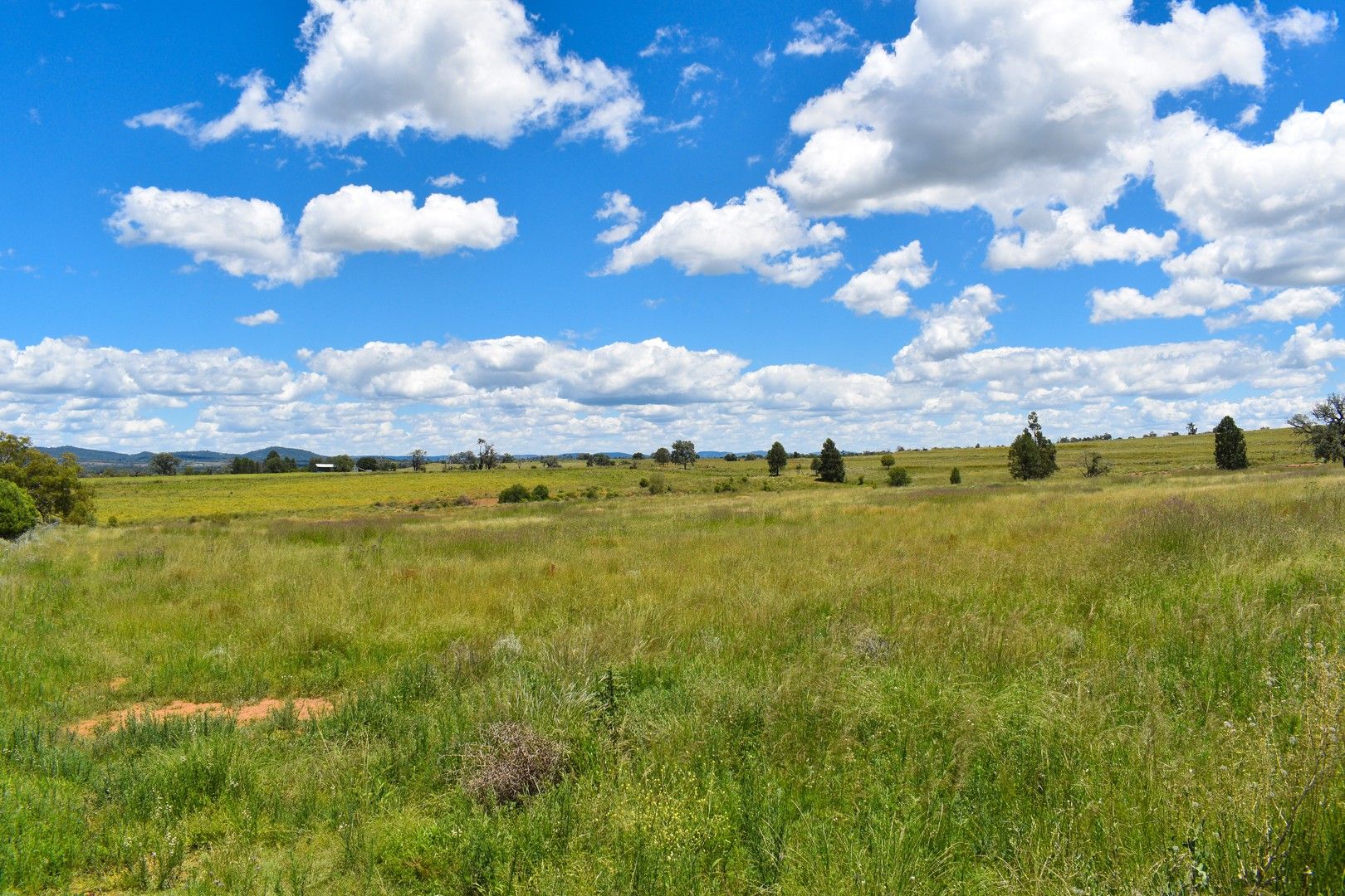 Vacant land in Lot 51-52 Salter Street, BINGARA NSW, 2404