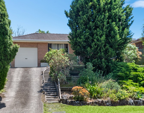 59 Chasselas Avenue, Eschol Park NSW 2558