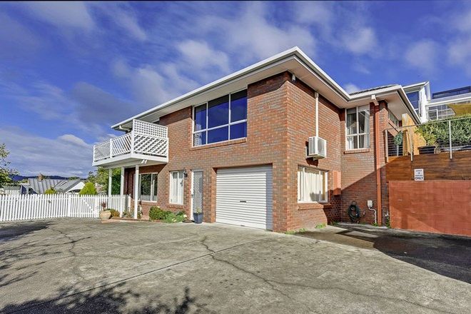 Picture of 3/88 Arthur Street, WEST HOBART TAS 7000