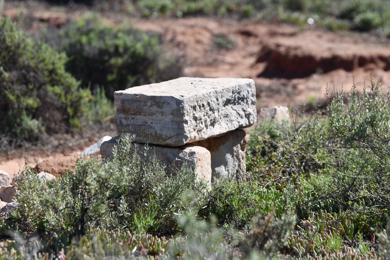 Image 11