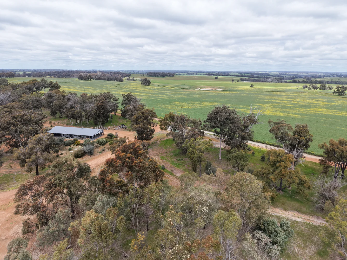Image 10