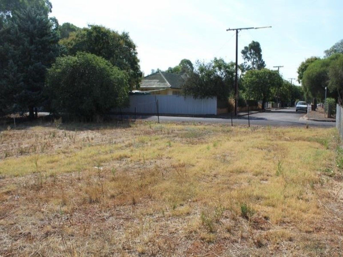 Lot 11 Frederick Street, Saddleworth SA 5413, Image 2